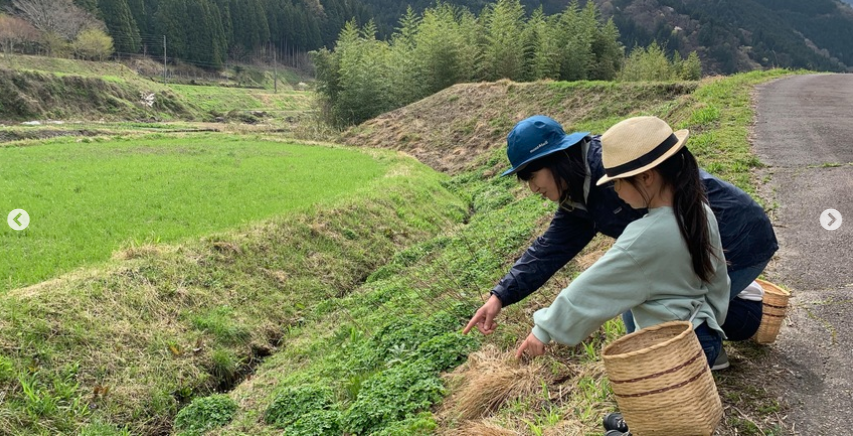 ハナサク春の里山で山野草ウォーキングのアイキャッチ画像