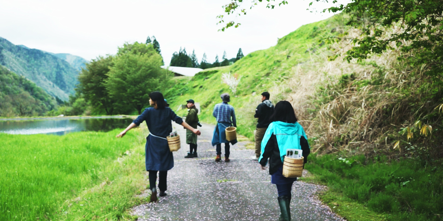 新緑の里と源流の森をめぐる、野草山菜の旅のアイキャッチ画像