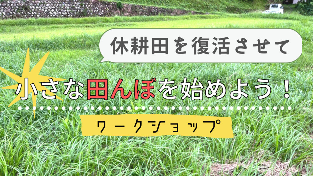 休耕田を復活させて、小さな田んぼを始めようのアイキャッチ画像