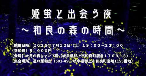 姫蛍と出会う夜 ~和良の森の時間~のアイキャッチ画像