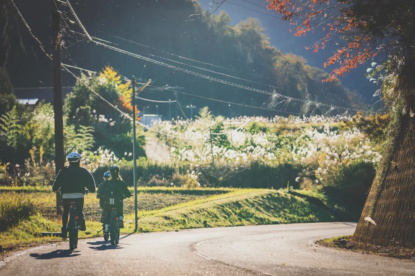 秋の郡上大和を楽しむ e-bike サイクリングのアイキャッチ画像