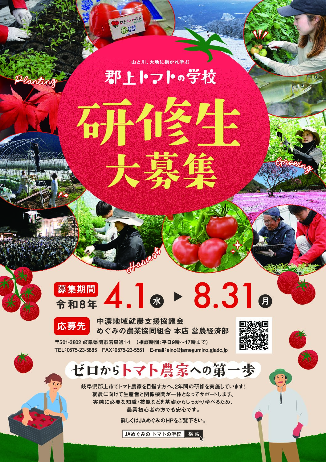 【研修生募集】 「郡上トマトの学校」のアイキャッチ画像